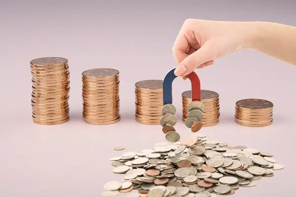 湖州美食鸡翅做法视频