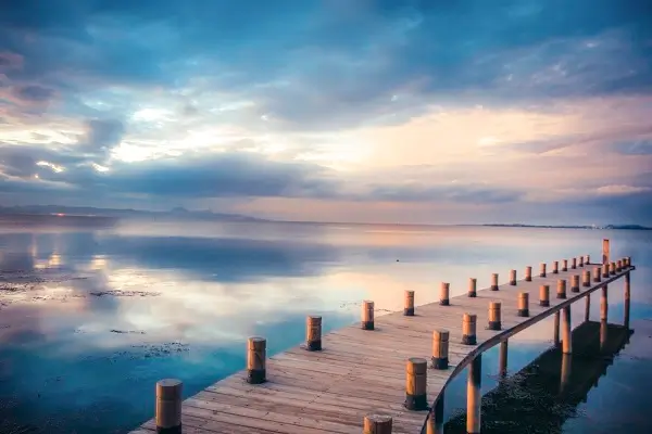 美食做法用英文介绍