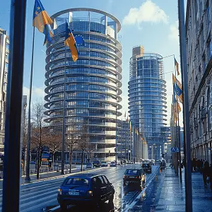 阿米美食 墨鱼做法